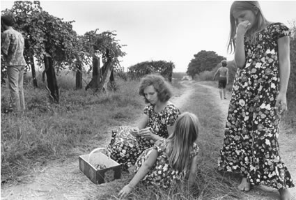 <b>Millard Fuller, his wife and children, harvesting grapes on the Koinonia Farm.</b>  Near Americus, GA, 1971.